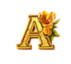 i con A