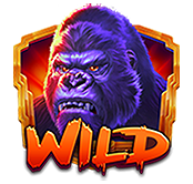 i con wild