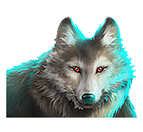 icon 5